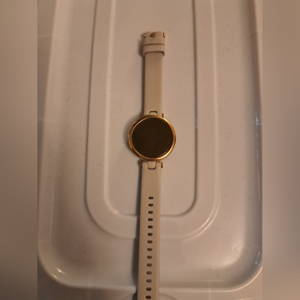Garmin Lily